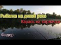 Карась на лодочный фидер. Рыбалка на убийцу карася летом на дикой речке конка на запретные наживки!