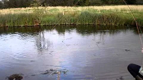 fishing on the river anton with david champness an...