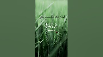 من سورة البقره | في صلاة الفجر ١٤ رمضان ١٤٤٥ هـ | #قرآن #تلاوة_القران_الكريم #المنشاوي_الصوت_الباكى