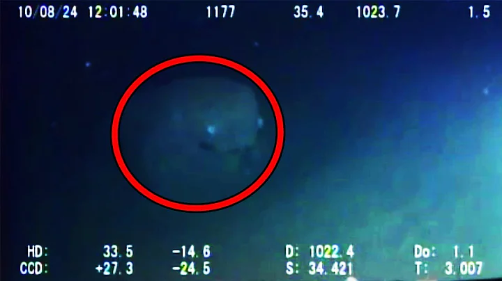 12 Mysterious Underwater Creatures Caught on Tape - DayDayNews