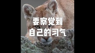 201805 要察觉到自己的习气20916