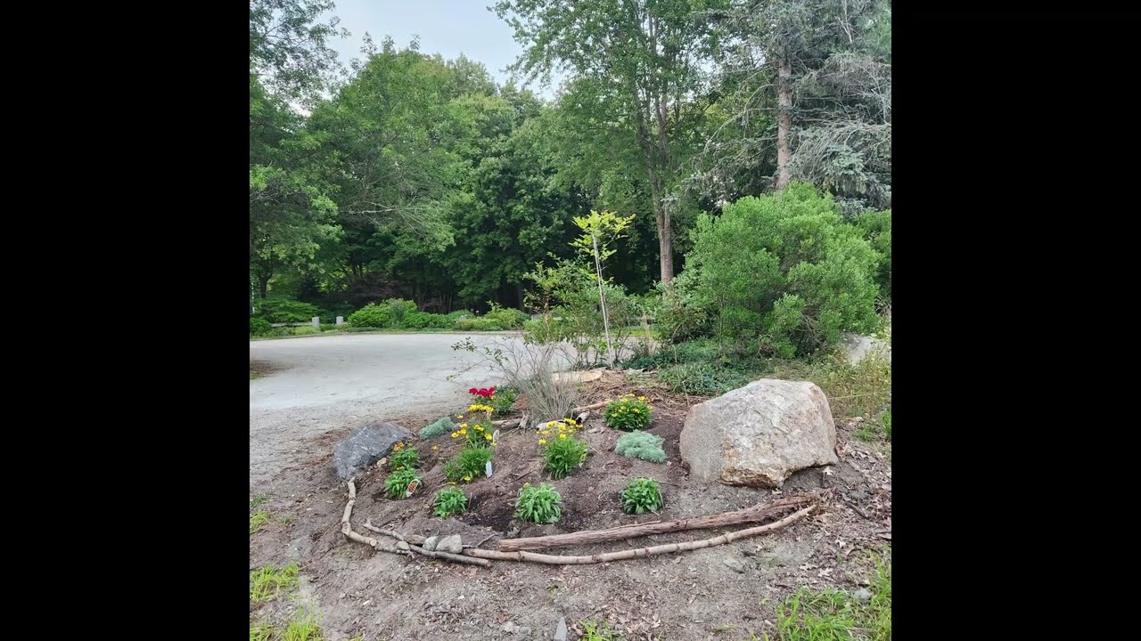 Carlisle Park Montage