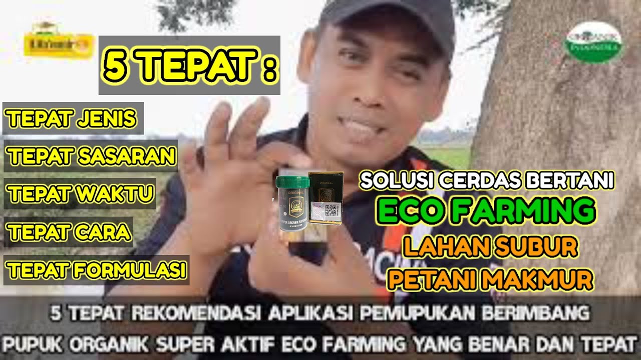 5 TEPAT REKOMENDASI PEMUPUKAN BERIMBANG MENGGUNAKAN PUPUK ORGANIK ECO 