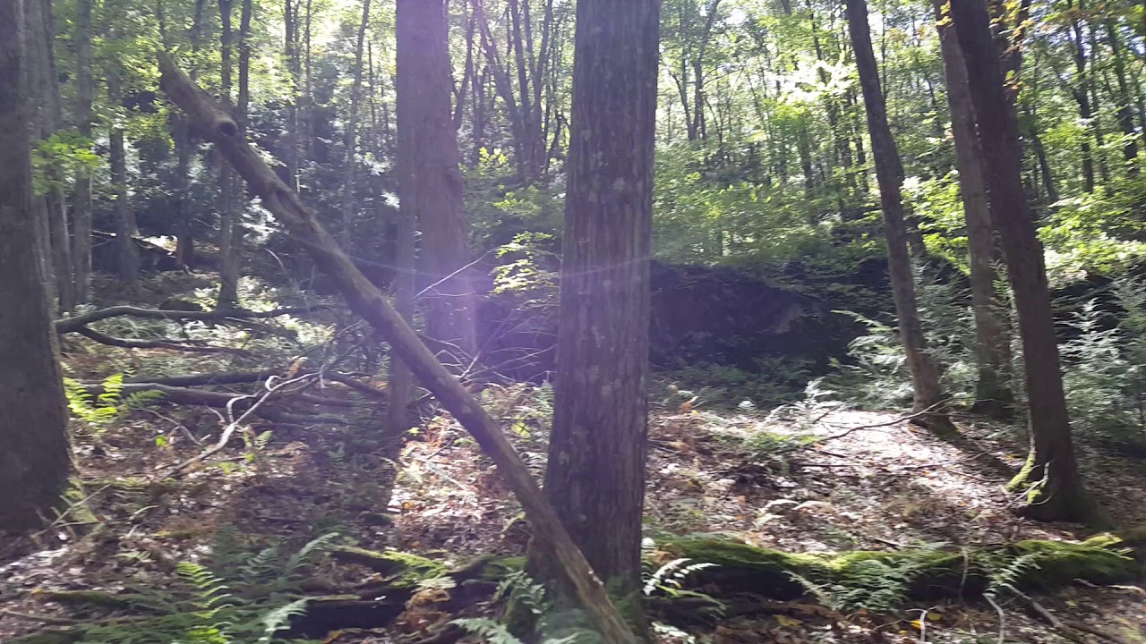 rimrock trail reroute