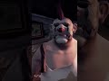 The sea of thieves food barrels will all be eaten!