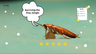 Surviving the Etsy Jungle: Unusual Lessons from the Resilient Cockroach by Curiosity Juice  66 views 10 months ago 2 minutes, 21 seconds