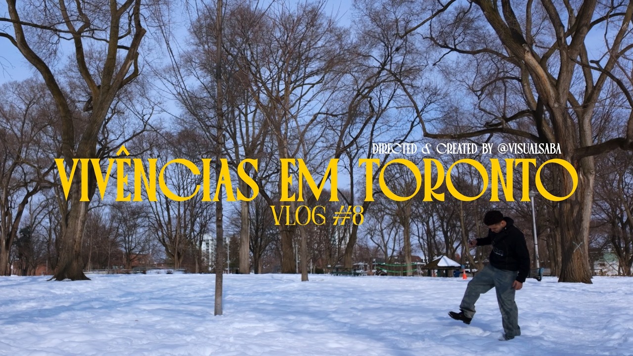 UM DIA COMUM NO INVERNO DE TORONTO