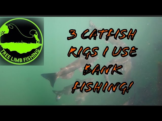 Best bank catfishing rig I use! I go over the 3 I use! #catfishing