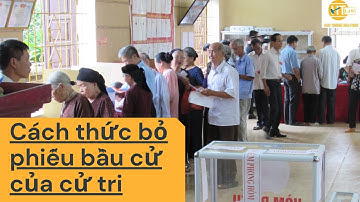 Luật sư hướng dẫn cách thức đi bầu cử Đại biểu Quốc Hội cho Cử tri.