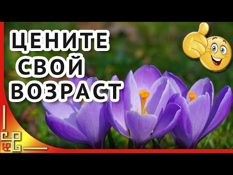 Любите свой возраст. Тем кому за. Позитив для настроения
