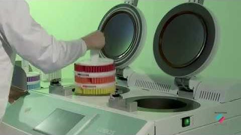 [Milestone Srl] LOGOS