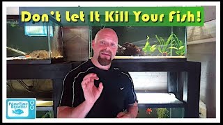 Top 9 how to reduce nitrite in fish tank in 2022