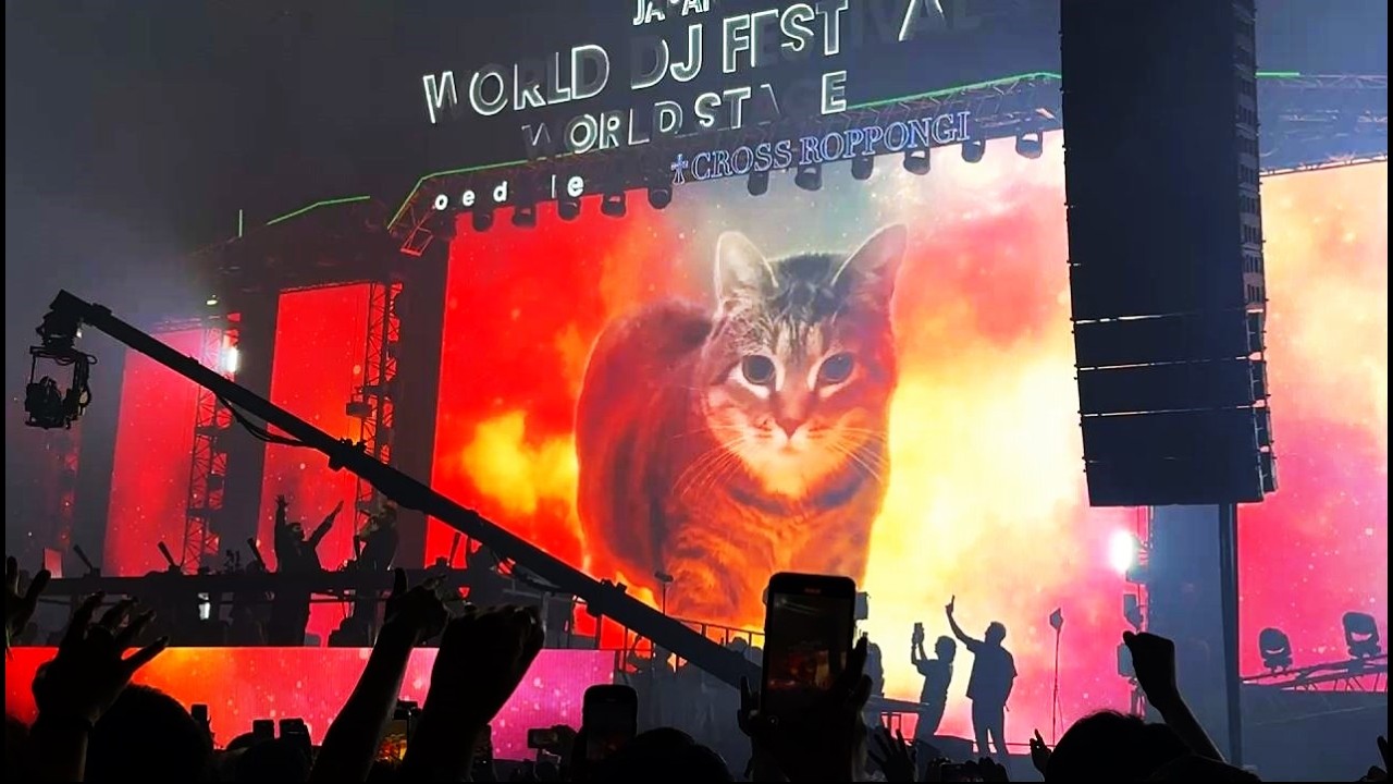 W&W B2B R3HAB - LIVE @ WORLD DJ FESTIVAL 2025 JAPAN