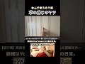 何柄なんだ…