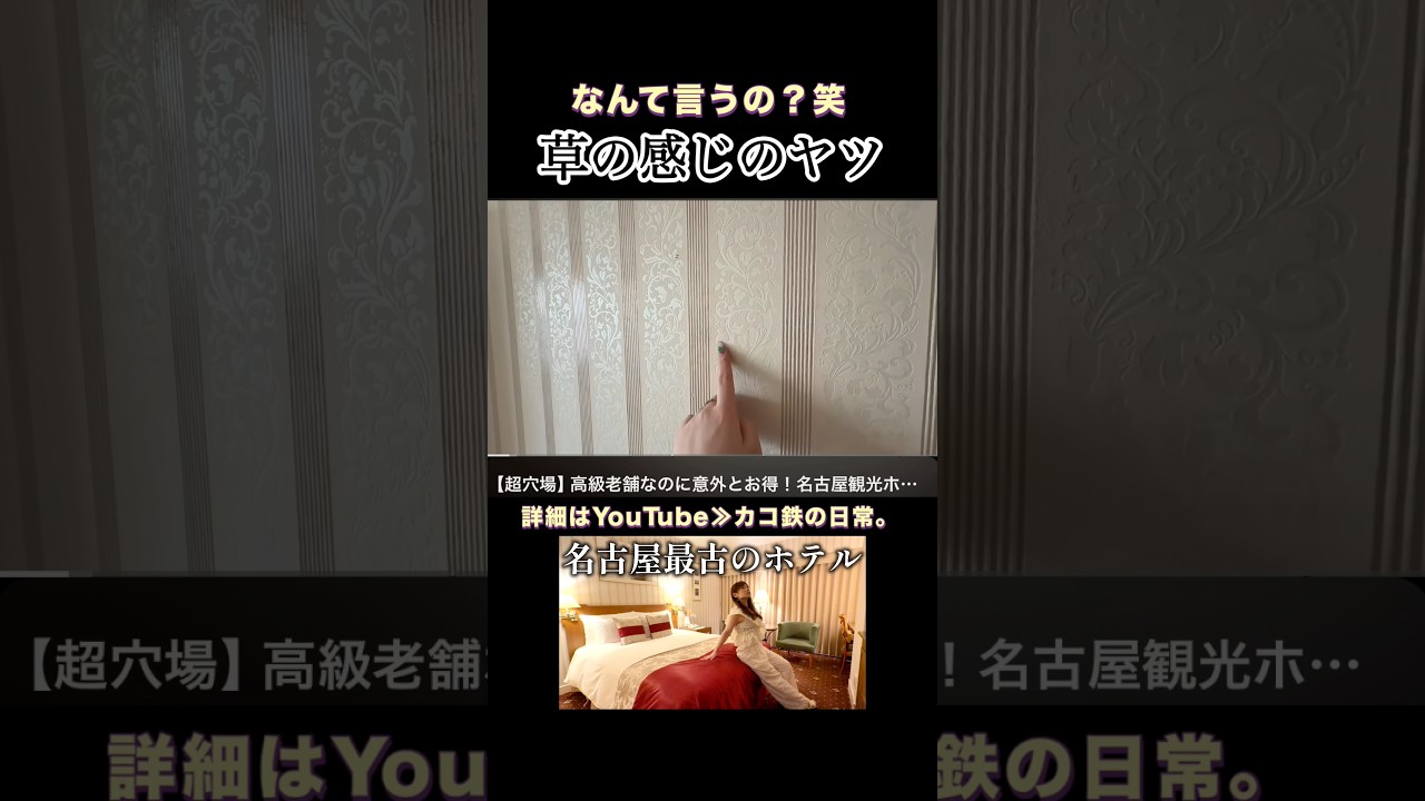 何柄なんだ…