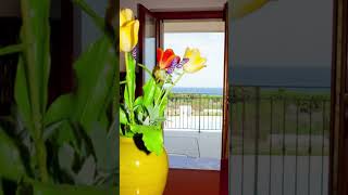 Seaview Apartment with Pool for Sale Calabria Italy €120,000 | Italian Properties