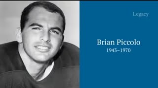 Brian Piccolo Wealth