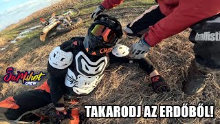 TAKARODJATOK AZ ERDŐBŐL!