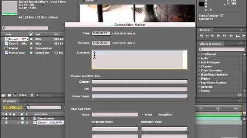 Adobe After Effects CS5 Tutorials - Audio, Place Audio Part No.2