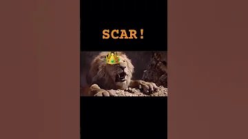 Long Live The King Lionking2019 Simba Mufasathelionking Disney Movie 