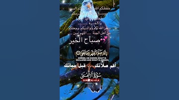 تلاوة خاشعة عطرة مباركة جميلة عذبة للشيخ ماهر المعيقلي ماتيسر من سورة الأعلى