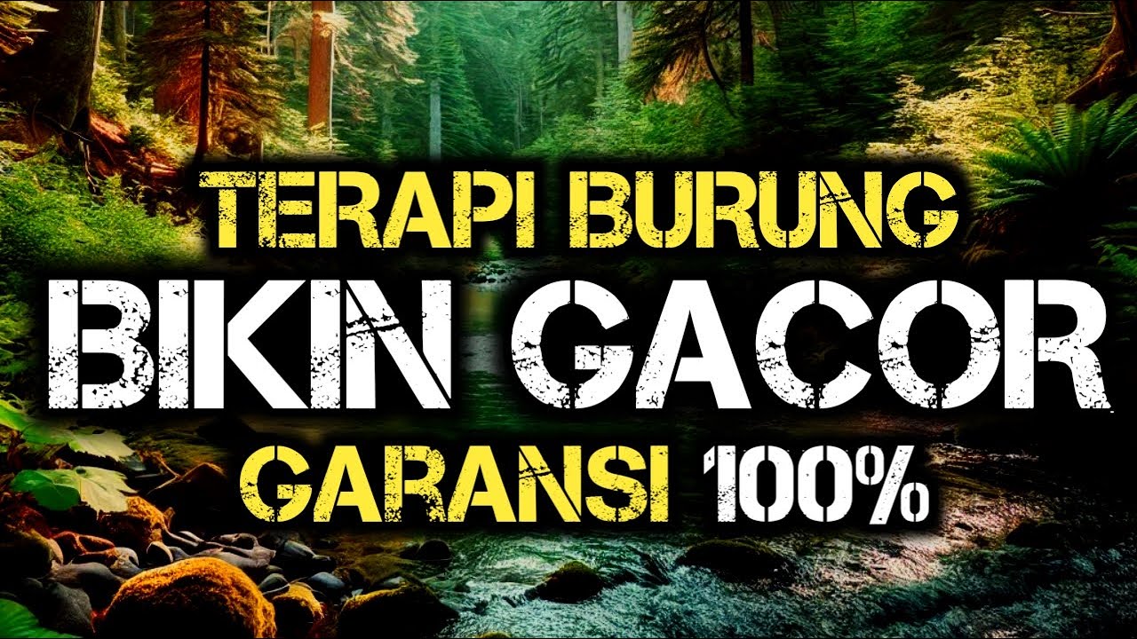 Terapi air untuk semua jenis burung, gemericik air terapi burung, Terapi Burung SUPER MANJUR