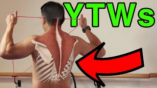 Best Exercises Posture , Upper Body Mobility, Shoulder Strength & Pain