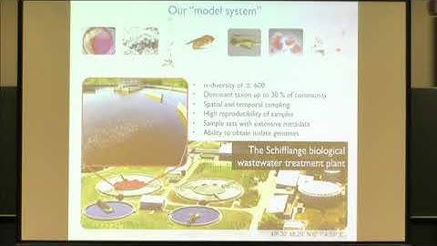 Paul Wilmes | Plenary Lecture 14: Ecosystems Biology: from data to control of microbial communities