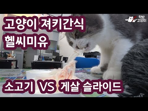[고양이간식대결] 져키 간식 헬씨미요 소고기 슬라이드 vs 게살슬라이드 Cat Jerky Snack HealthyMiyo Beef Slide vs Crab Meat Slide