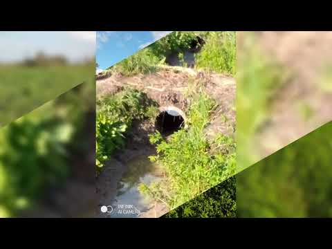 ارض زراعية للبيع مساحة 20 قيراط السعر 900 الف جنيه عقارات و اراضي اراضي زراعية للبيع