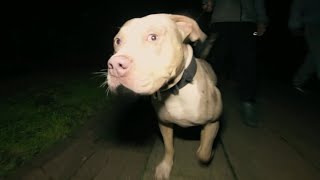 Hood Poet - From The Heart [Music Video]