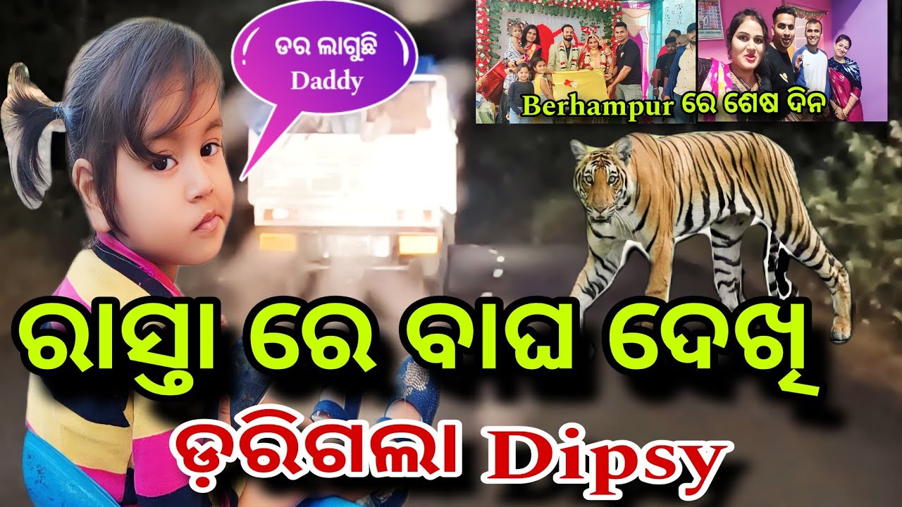ରାସ୍ତା ରେ ବାଘ ଦେଖି ଡ଼ରିଗଲା Dipsy🐅ବ୍ରହ୍ମପୁର ରେ ଶେଷ ଦିନ||Misty Swati Sai Odia Vlogs Video 🙏❤️🙏🧿