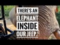Elephant attack at yala National Park.!