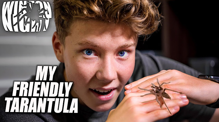 MEET my FRIENDLY TARANTULA !!! (First EVER Tarantula)