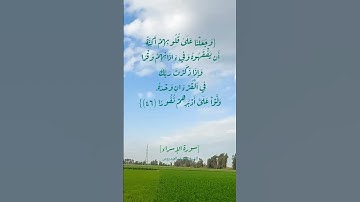 سورة الإسراء الآية ٤٥ الى ٤٧ بصوت الشيخ يوسف العيدروس #القرآن  #القران_الكريم_في_الصباح