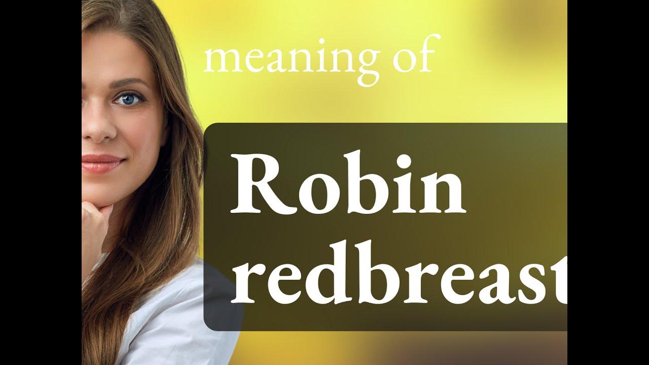Robin redbreast — meaning of ROBIN REDBREAST YouTube