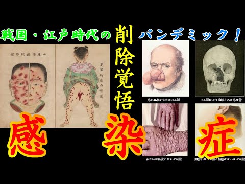 【歴史解説】戦国・江戸、恐怖の感染症　日本をパニックに陥れたパンデミック！！【MONONOFU物語】