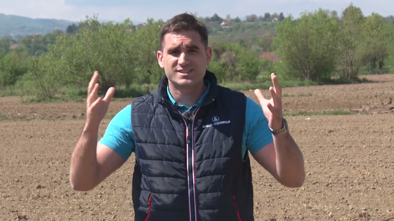 Proverena kombinacija TALISMAN PLAMEN za suzbijanje korova u kukuruzu!🌽