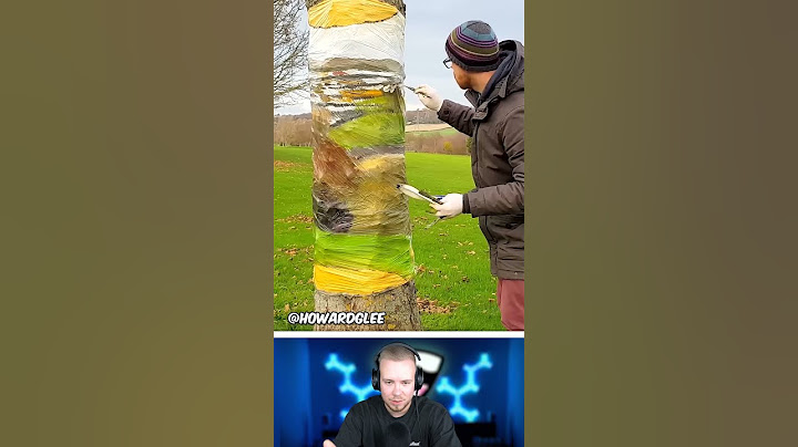 Er lässt den Baum verschwinden 😲