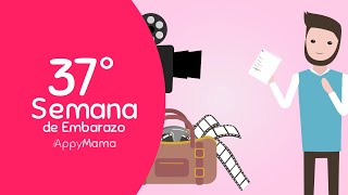 Semana 37 de #Embarazo |  Luces, cámara, acción!