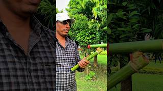 amezing dish shooting through bamboo with balloon !! #bamboo #bambooart #toys #diy