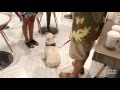 'Yappy Hour'