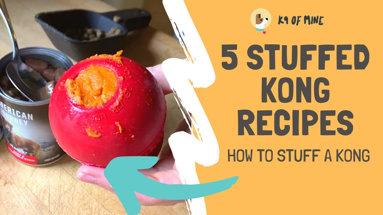 What Can You Put in a Kong Besides Peanut Butter? 13 Easy Recipes