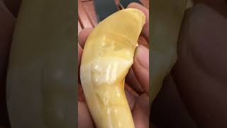 ចង្កូមខ្លា #shorts #xuhuongyoutube #thachsathe #ចម្លាក់ខ្មែរក្រោម