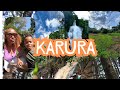 Karura Forest Nature Vlog 2025 Karura Forest Nature Vlog 2025