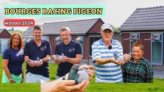 Racing Pigeons Bourges 2024:Casaert Sénéchal and Ruyck Walter Pigeon!winner belguim racing pigeon.