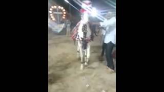 VID 20150615 WA0034