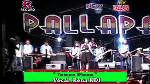 Teman biasa - Rena kdi - New pallapa live menganti gresik 2014