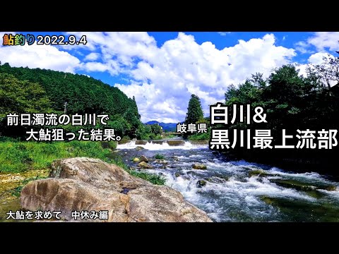 【鮎釣り】白川、黒川（岐阜県）｜2022.9.4｜大増水！大鮎を求めて 中休み編【友釣り】