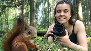 I rescued four baby red squirrels  [The Squirrels \& Me]